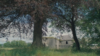 1979.jpg
