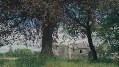 1980.jpg